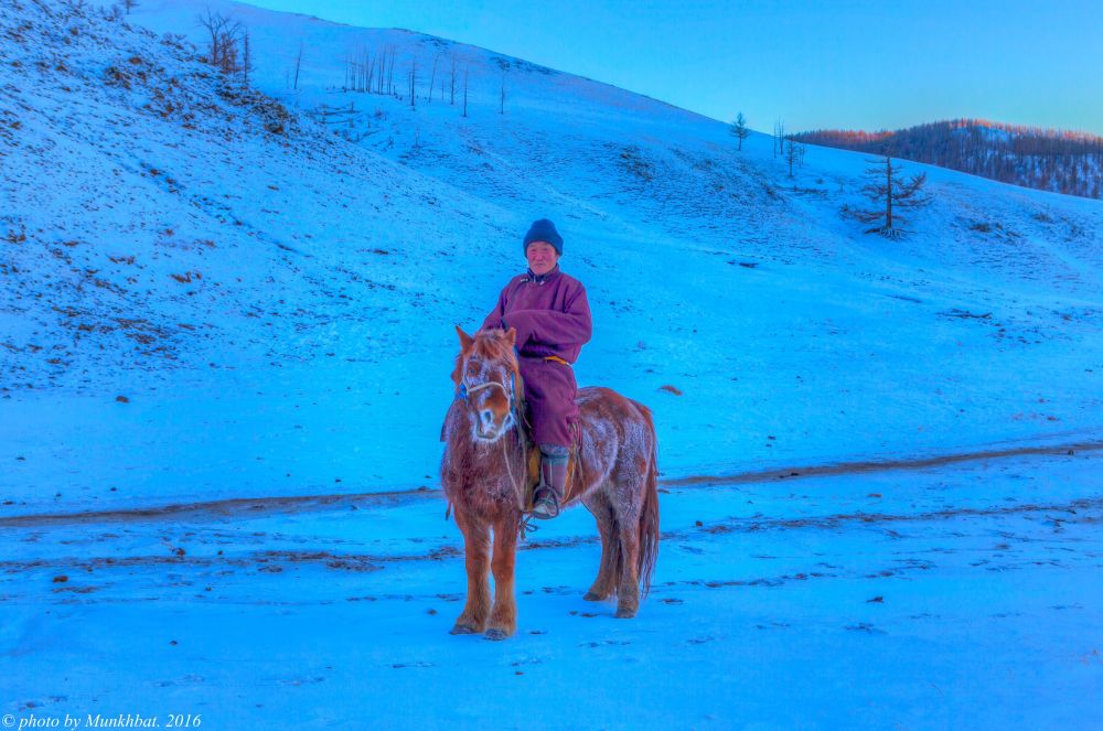 Nomade en hiver