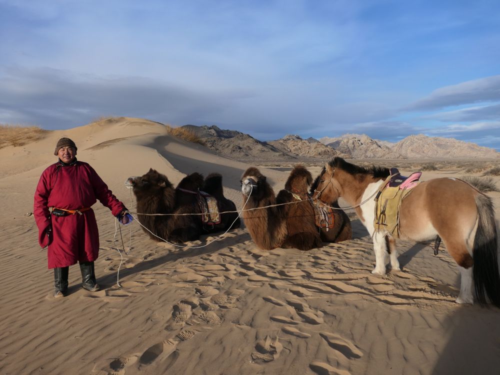 Les dunes de Khongor en hiver