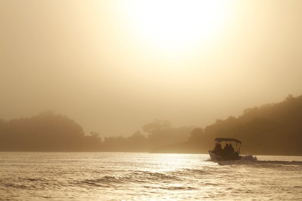 Safari en bateau à la recherche du jaguar