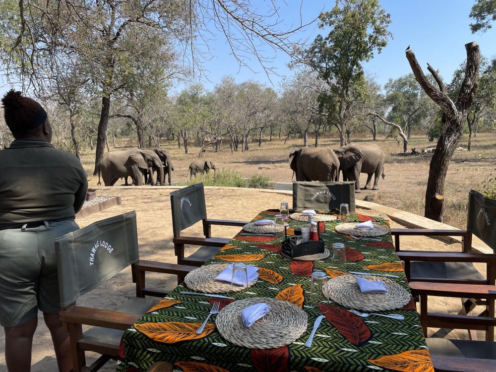 Parc de Majete lodge Malawi