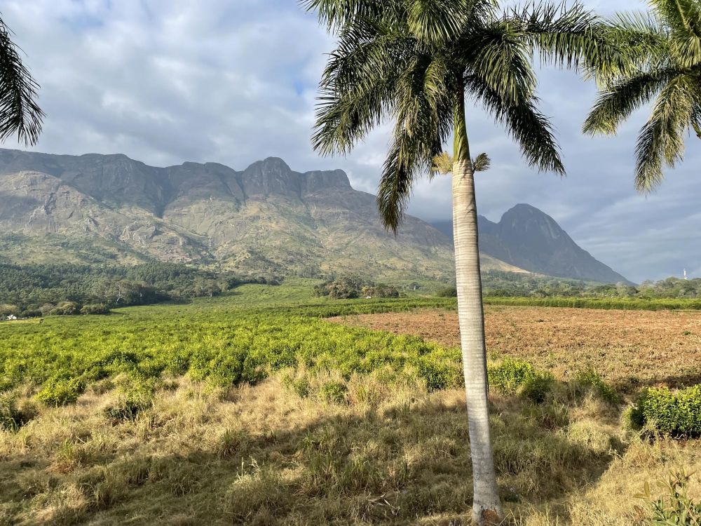 Mont Mulanje Malawi
