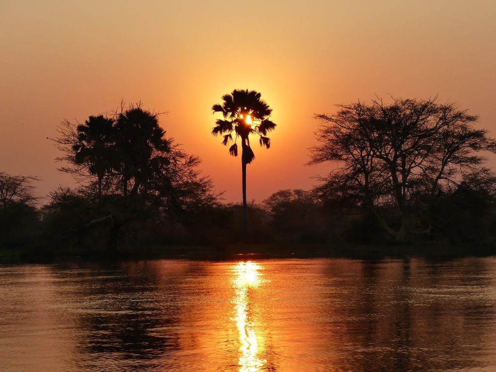 Safari bateau coucher du soleil Liwonde Malawi