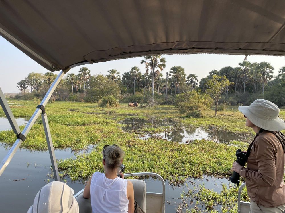 Safari bateau Liwonde Malawi