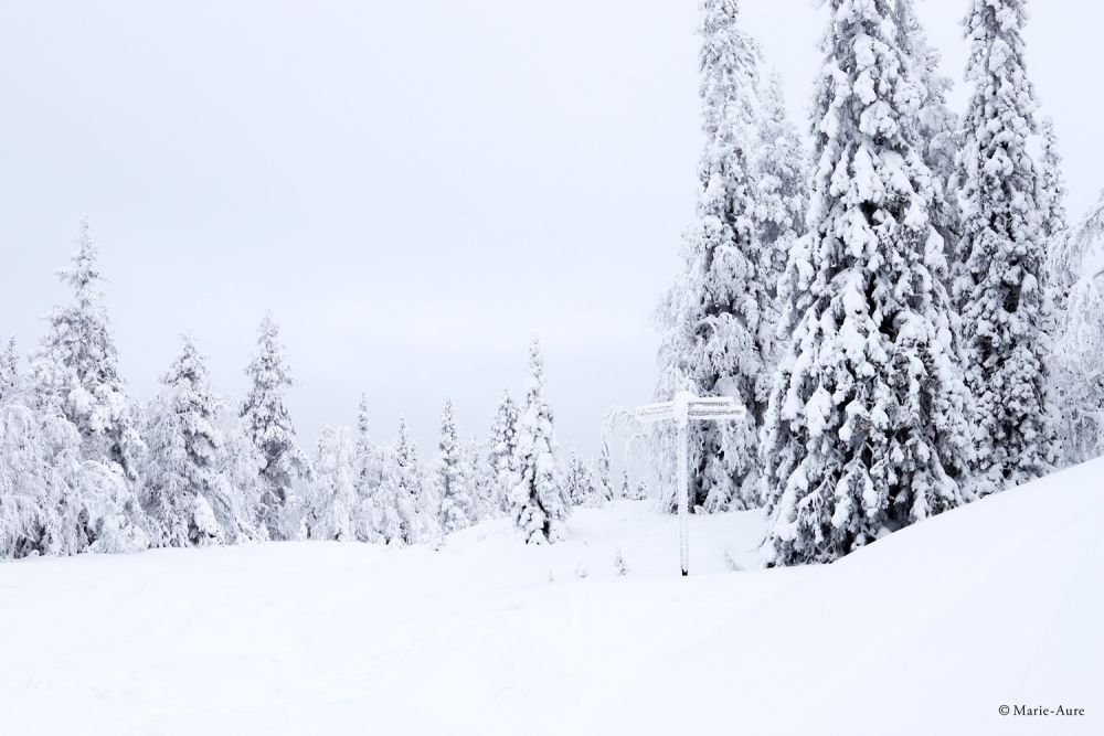 Au coeur de l'hiver