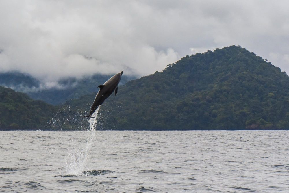 Photo voyage Colombie 15