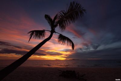 © Terres Oubliées - Découvertes coucher de soleil sur un palmier