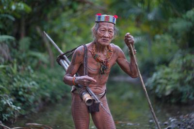 Jour 8 - Journée de randonnée dans la jungle