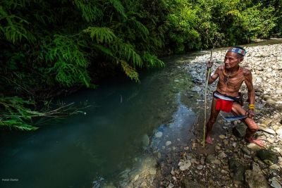 Jour 8 - Journée de randonnée dans la jungle
