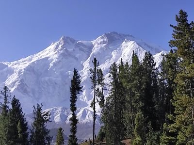 Jour 9 : Randonnée à Naltar et route jusqu'à Gilgit