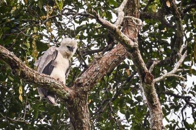 J4 à J6: Vistahermosa et Mesetas
