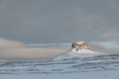 Jour 1 : Vol Paris – Kittila - Arrivée en Laponie