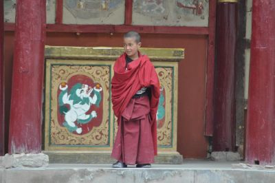 Jour 4 : Balades et visites des sites remarquables de Leh et la vallée de l'Indus. Immersion villageoise (3900m)