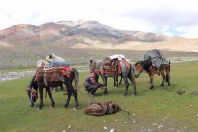 Jour 9 : Trek jusqu’à Nyoma Gompa (4600m) via le col de Sumdo La (5730m)