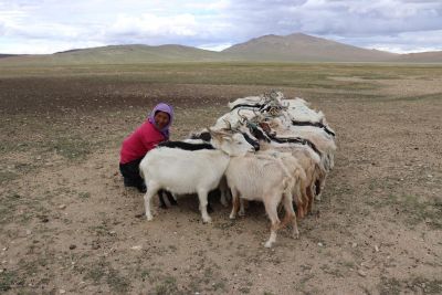 Jour 10 : Trek jusqu’au lac de Kyun Tso (4950m) via le col de Nidar La (5140m)