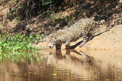 Jours 3 et 4: Journées d'observations naturalistes