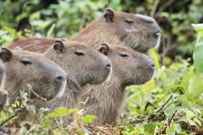 Jour12: Retour vers Cuiba et vol de nuit