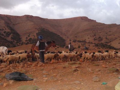 Jour 12 : Retour à Marrakech