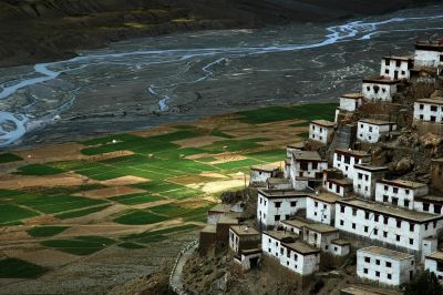 Jour 19 :  Marche jusqu’au monastère de Ki Gompa – Route pour Kaza (3600 m)