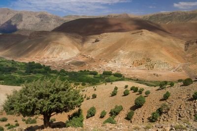 Jour 13 : Marrakech en liberté