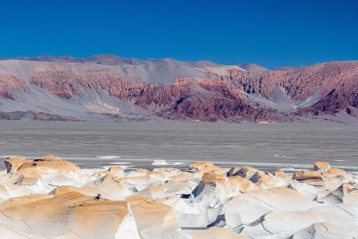 Jour 10 : Nouvelle journée phare : Carachi pampa, Campo de Piedra Pomez et Laguna Grande