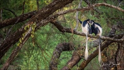 Jour 3 : en route vers Weliso