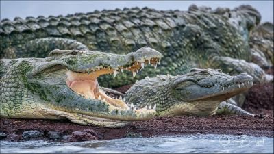 Jour 5 : route vers Jinka