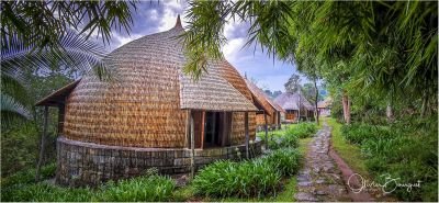 Jour 15 : journée en pays Borana