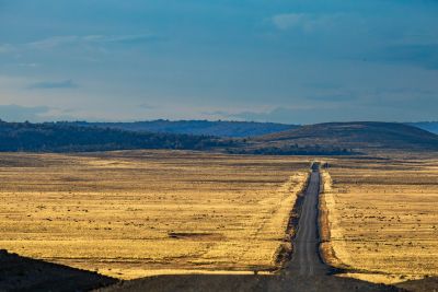 Jour 15 : Route à travers la Terre de Feu par le Nord pour traverser le Détroit de Magellan et rentrer à Punta Arenas - Hôtel
