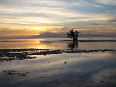 Jour 3 : Traversée vers l’île de Bohol 