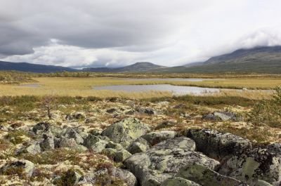 Jour 7 - Balade panoramique en balcons du Dovrefjell