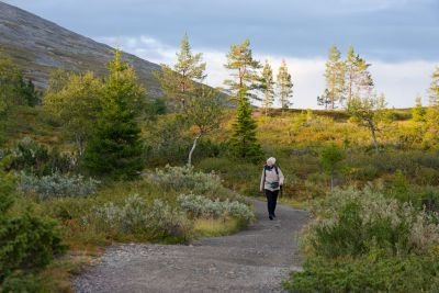 Jour 8 : Retour en France