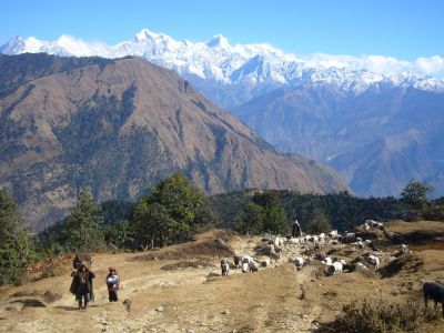 Jour 5 : Lokpa - Chumling - Kowo (2400m)