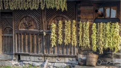 Jour 2 - Charmes irrésistibles du Maramurès et son architecture en bois