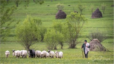 Jour 7 - Retour en Transylvanie