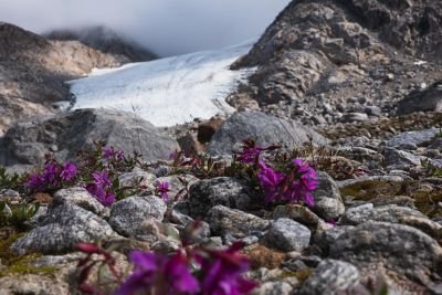 © Nicolas Grimaux - Jour 13 : Vols retour Jour 13 : Vols retour