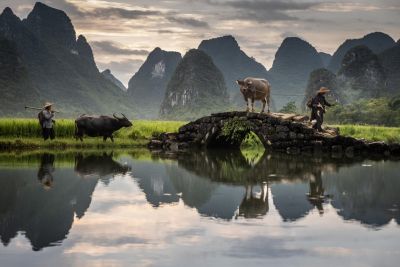 Jour 14 : Yangshuo - Longji - rizières en terrasses et femmes Zhuang