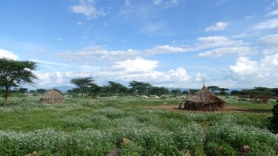 Jour 7 : Traversée de la vallée de l'Omo et faune du Parc du Mago