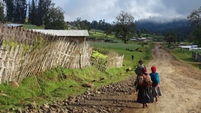 Jour 12 : Longue journée de route vers Awassa et visite d'un village Dorze