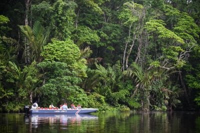 Jour 2 — Les canaux sauvages de la réserve Pacuare
