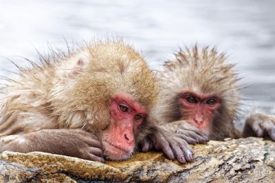 © Philippe Gueudre - Jour 6 : ambiances villageoises à Shirakawago Jour 6 : ambiances villageoises à Shirakawago