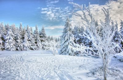 © Terres Oubliées - Nagano Hiver Japon Nagano Hiver Japon