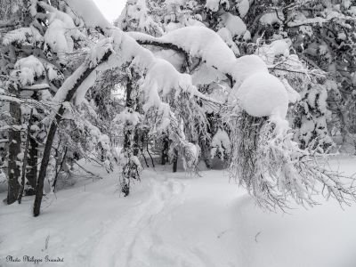 Jour 8 : Nozawa onsen et Nagano
