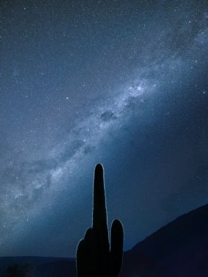 Ciel pur d'Atacama et cactus Cardon