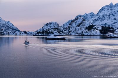 Jour 8 : Retour à Narvik, train de nuit vers Stockholm