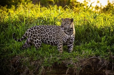Jours 3 et 4: Journées d'observations naturalistes