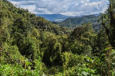 Jour 4: Réserve naturelle Rio Claro et Medellin