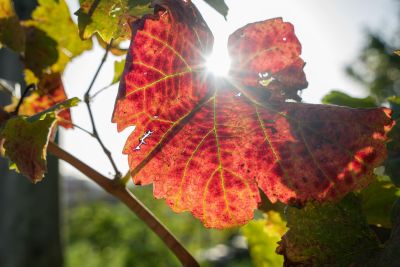 Jour 5 : Randonnée des contrebandiers