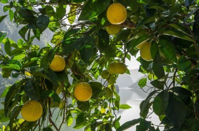 Jour 6 : De Bemposta à Aldeadavilla