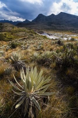Bogota - PNN Chingaza - Monterredondo
