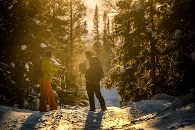 Balade en raquettes dans la forêt boréale de Laponie